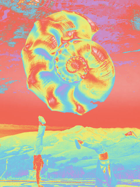 Poster — Affiche — Pau (1/1)